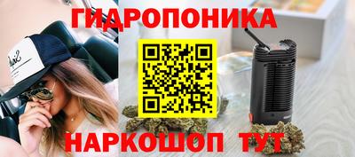 a pvp Лесосибирск