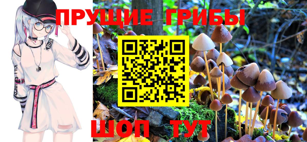 Псилоцибиновые грибы Cubensis Донецк