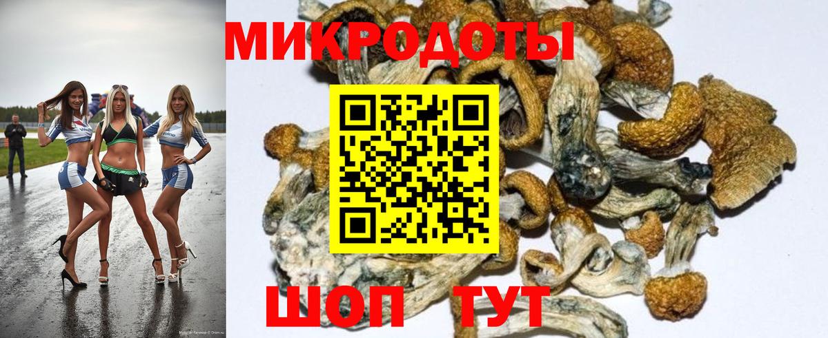 Псилоцибиновые грибы Psilocybe  где продают   Донецк  Вход с VPN 